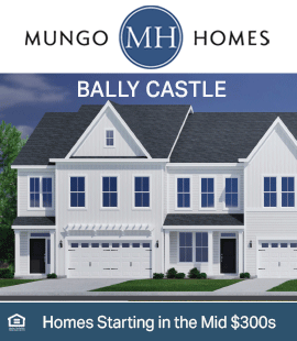 Side Banner for Mungo Homes - Bally Castle