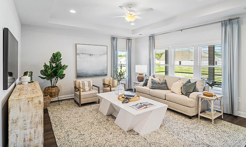 Dream Finders Homes - Living Room