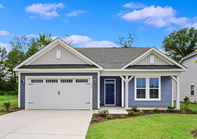 520 Sheepbridge Way, Loris, SC