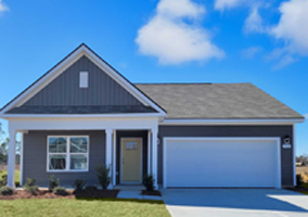 331 Black Gum Drive, Conway, SC