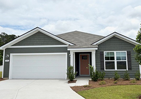 206 Red Buckeye Drive, Conway, SC