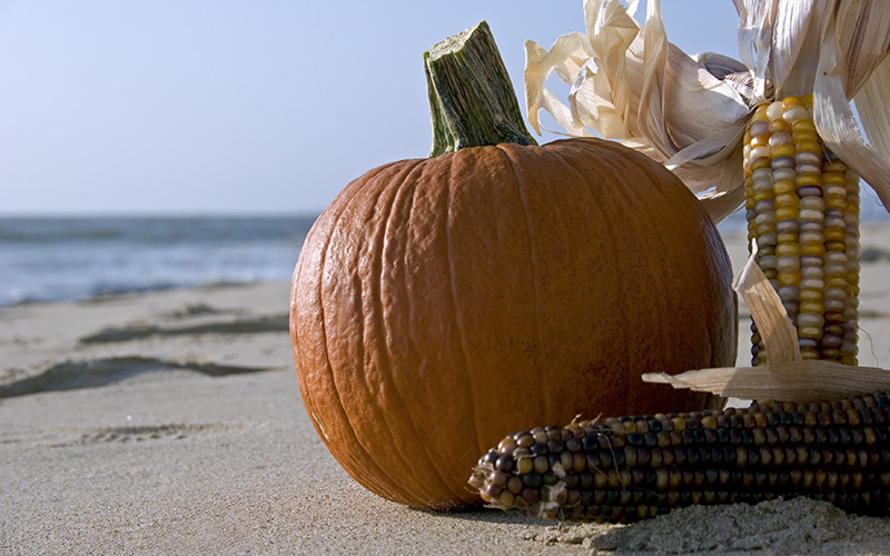 Pumpkins on the beach Fall on the Beach